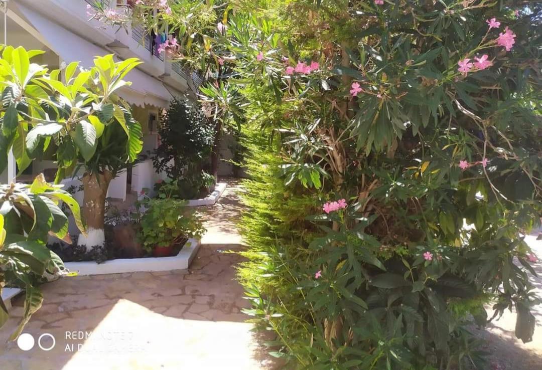 Lenia Studios Kalamítsi Dış mekan fotoğraf